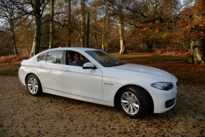 first traditional drive out in the New Forest